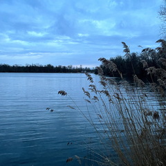 23-02-18 18-01-12 4287